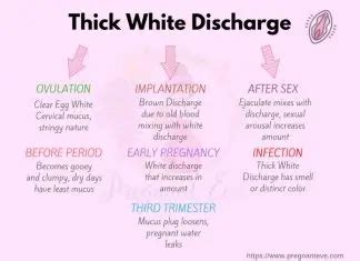 creamy pussies|Thick, White Discharge: Types, Causes, When to Be Concerned .